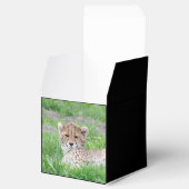 Gepard20150904 Geschenkschachtel (Geöffnet)