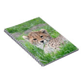 Gepard20150904 Notizblock (Rechte Seite)