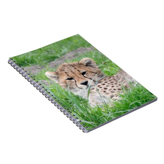 Gepard20150904 Notizblock (Rechte Seite)