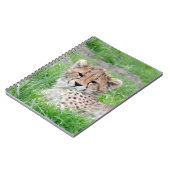 Gepard20150904 Notizblock (Linke Seite)