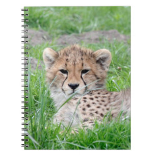 Gepard20150904 Notizblock