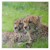 Gepard 001 fliese (Vorderseite)