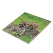 Gepard 001 fliese (Seite)