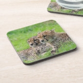 Gepard 001 getränkeuntersetzer (Linke Seite)