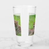 Gepard 001 glas (Links)