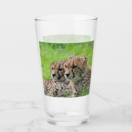 Gepard 001 glas (Vorderseite)