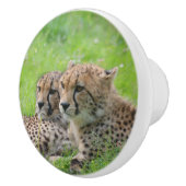 Gepard 001 keramikknauf (Rechts)