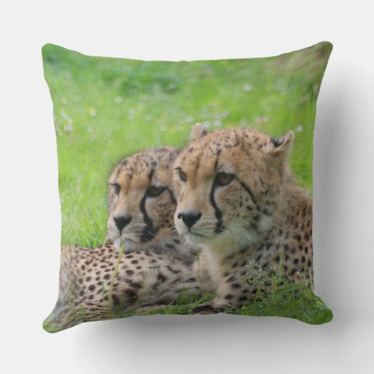 Gepard 001 kissen (Rückseite)