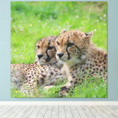 Gepard 001 leinwanddruck (Insitu (Holzboden))