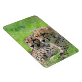 Gepard 001 magnet (Rechte Seite)