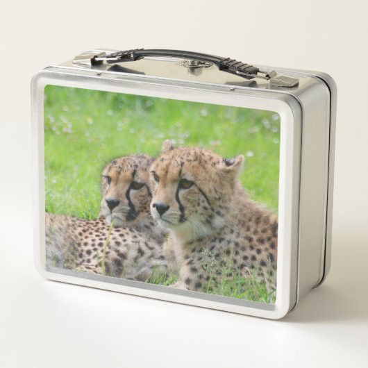 Gepard 001 metall brotdose (Rückseite)