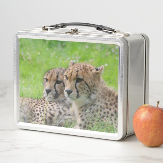 Gepard 001 metall brotdose (Beispiel)