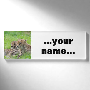 Gepard 001 namenschild