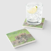 Gepard 001 steinuntersetzer (Seitenansicht)