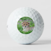 Gepard 002 golfball (Vorderseite)
