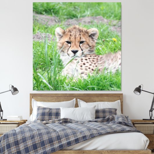 Gepard 002 leinwanddruck (Insitu (Schlafzimmer))