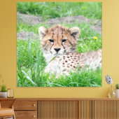 Gepard 002 leinwanddruck (Insitu (Wohnzimmer))