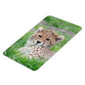 Gepard 002 magnet (Linke Seite)