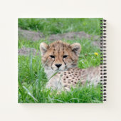 Gepard 002 notizblock (Rückseite)