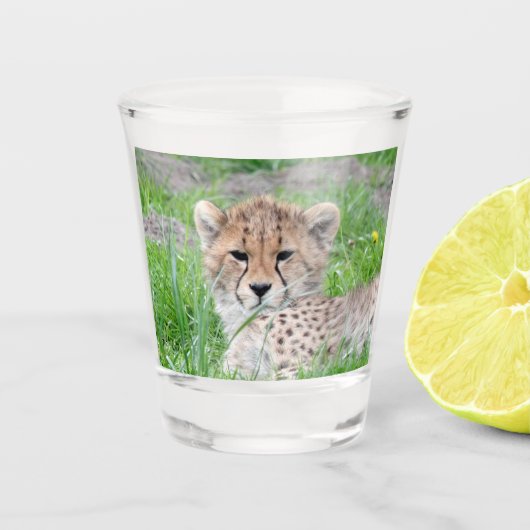 Gepard 002 schnapsglas (Vorderseite)