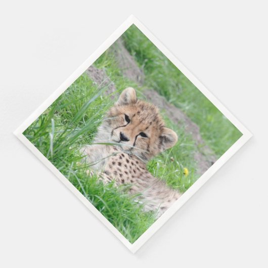 Gepard 002 serviette (Ecke)