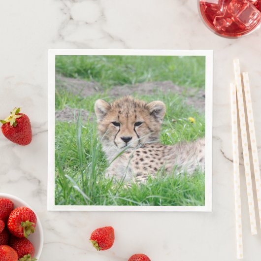 Gepard 002 serviette (Beispiel)