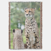 Gepard 004 decke (Vorderseite Vertikal)