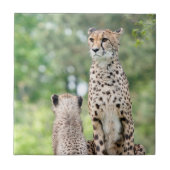 Gepard 004 fliese (Vorderseite)