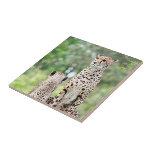 Gepard 004 fliese (Seite)