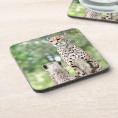 Gepard 004 getränkeuntersetzer (Linke Seite)