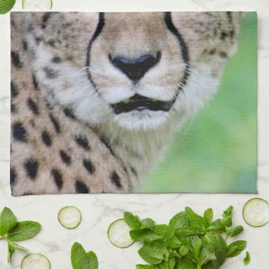 Gepard 009 geschirrtuch (Gefaltet)