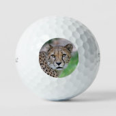 Gepard 009 golfball (Vorderseite)