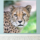 Gepard 009 leinwanddruck (Insitu (Holzboden))