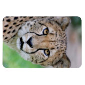 Gepard 009 magnet (Horizontal)