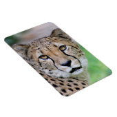Gepard 009 magnet (Rechte Seite)