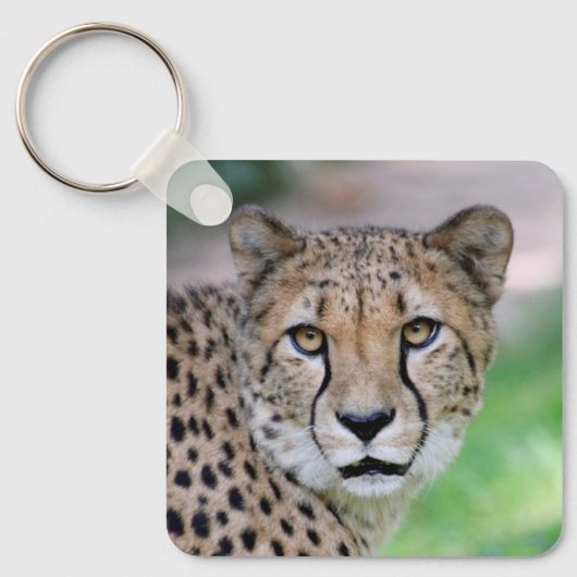 Gepard 009 schlüsselanhänger (Vorderseite)