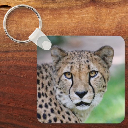 Gepard 009 schlüsselanhänger (Vorderseite)