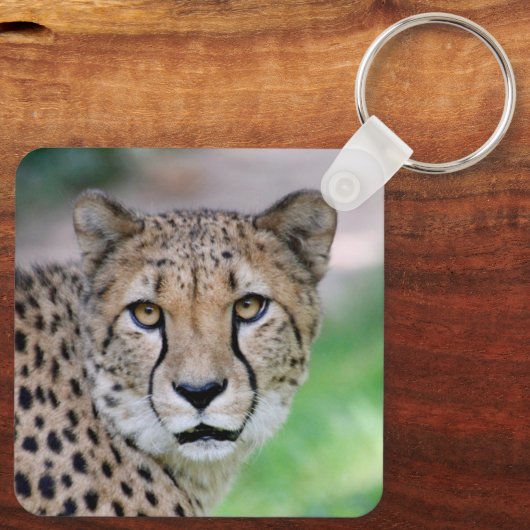 Gepard 009 schlüsselanhänger (Rückseite)