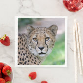 Gepard 009 serviette (Beispiel)