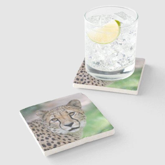 Gepard 009 steinuntersetzer (Seitenansicht)