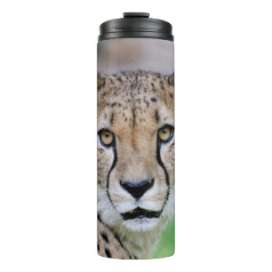 Gepard 009 thermosbecher