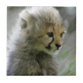 Gepard 014 fliese (Vorderseite)