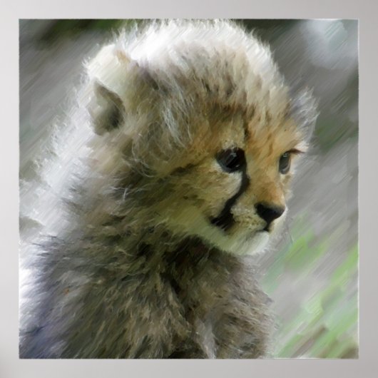 Gepard 014 poster (Vorne)