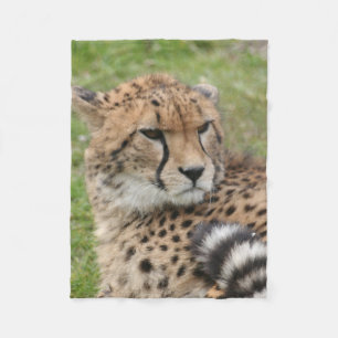 Gepard 1115 fleecedecke