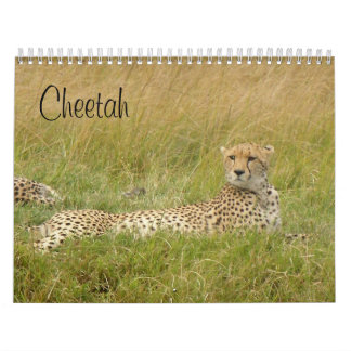 Gepard 2008 kalender