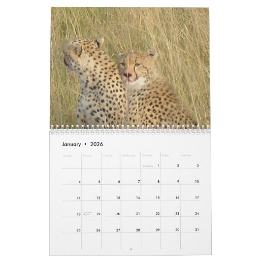 Gepard 2008 kalender (Jan 2026)