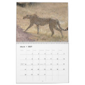 Gepard 2008 kalender (Mär 2027)