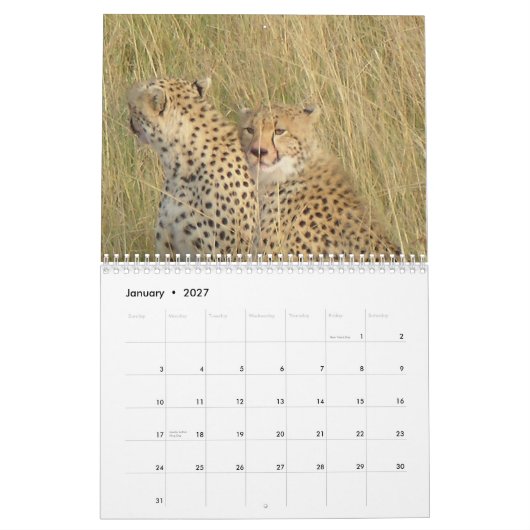 Gepard 2008 kalender (Jan 2027)