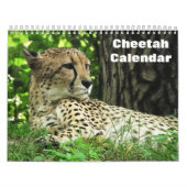 Gepard 2025 kalender (Titelbild)