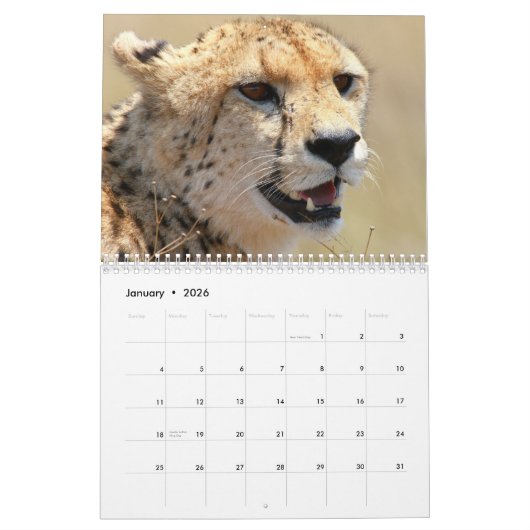 Gepard 2025 kalender (Jan 2026)